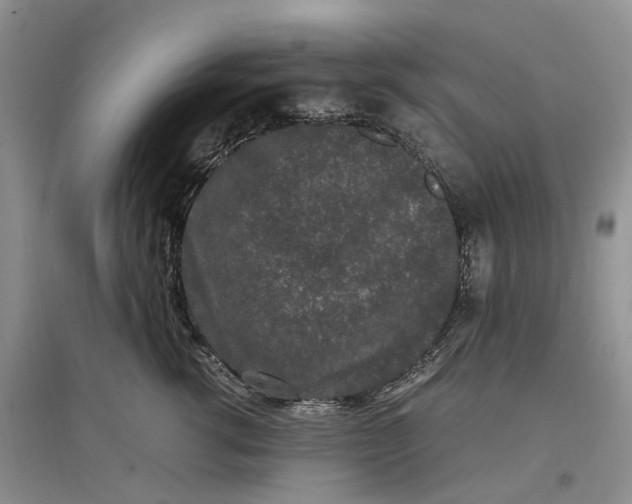 X0000097300762200802291813