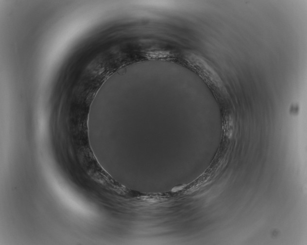 X0000097300763200802291813