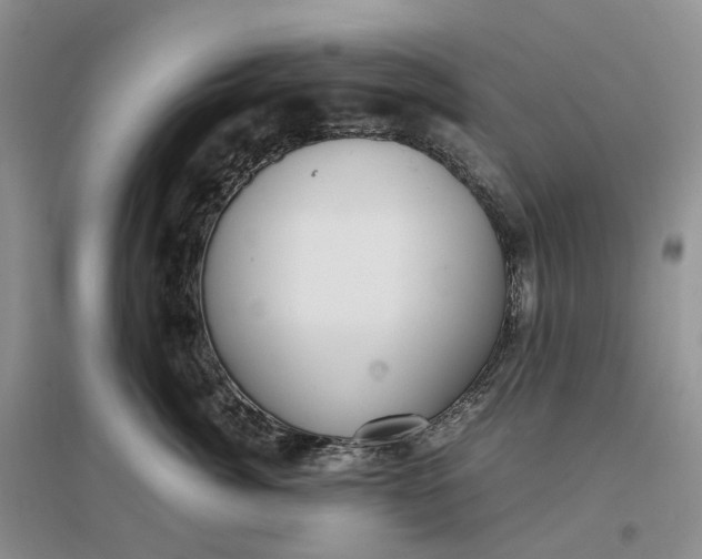 X0000097300764200802291813