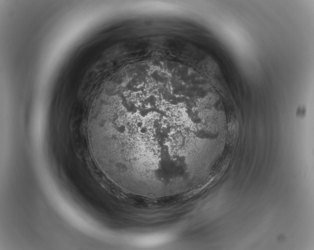 X0000097300765200802291813