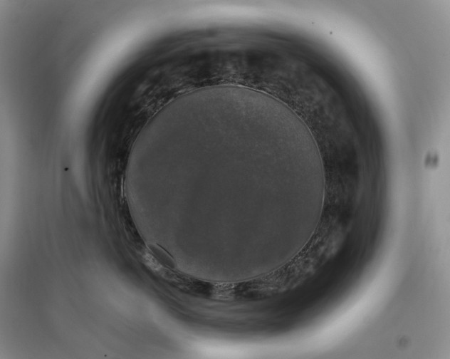 X0000097300766200802291813