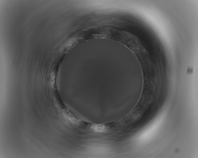 X0000097300767200802291813