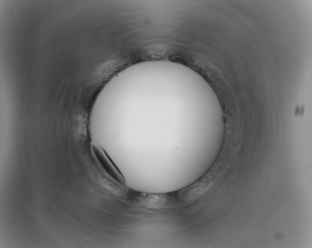 X0000097300768200802291813