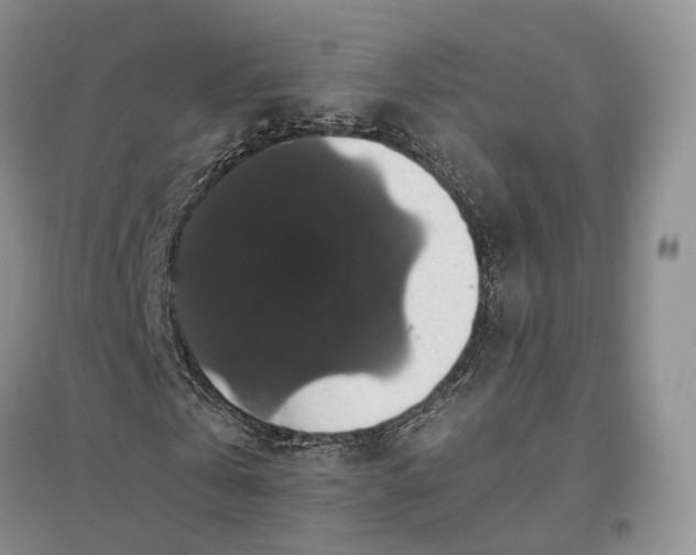 X0000097300769200802291813