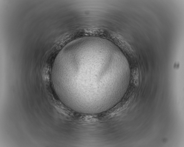 X0000097300770200802291813