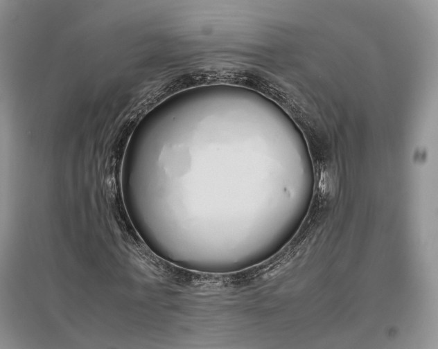 X0000097300771200802291813