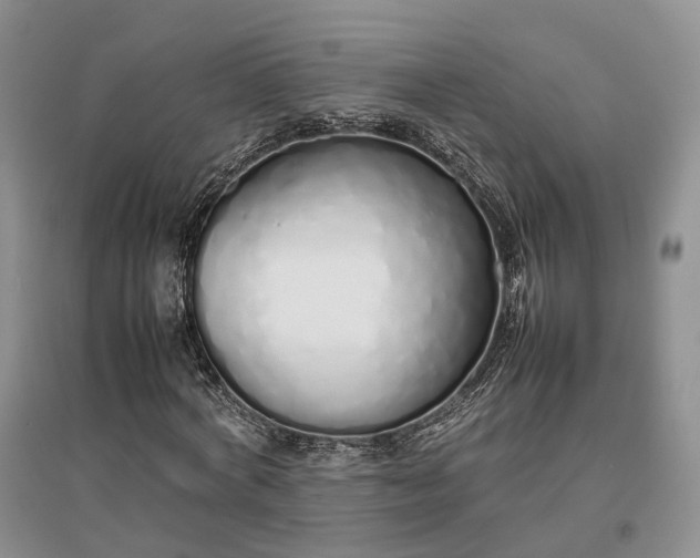 X0000097300772200802291813