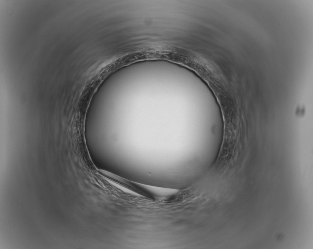 X0000097300773200802291812