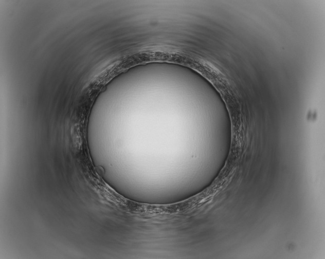 X0000097300774200802291812