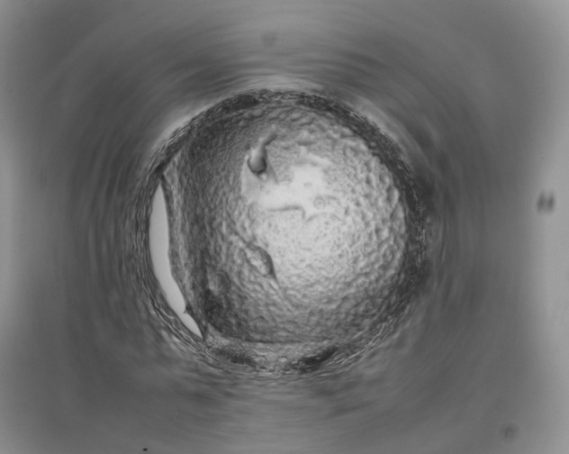 X0000097300775200802291812