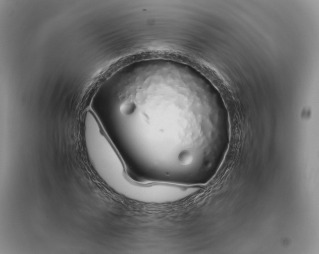 X0000097300776200802291812