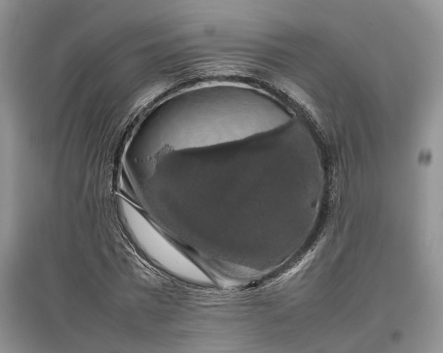 X0000097300777200802291812