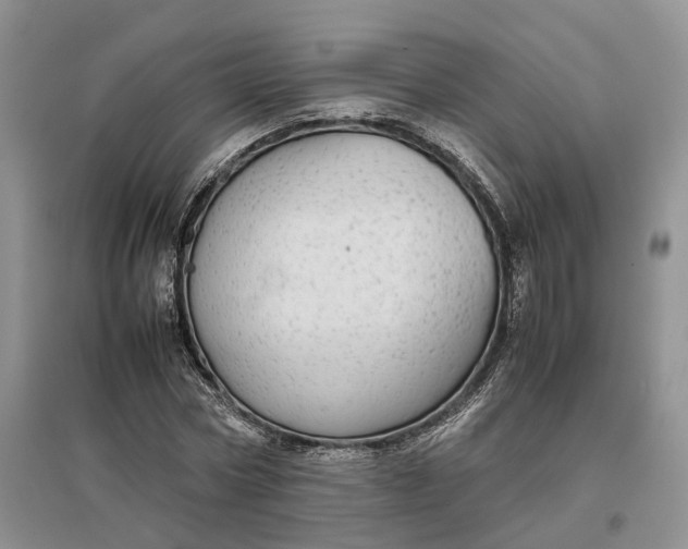 X0000097300778200802291812