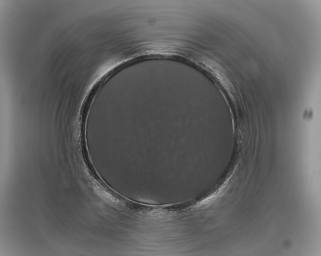 X0000097300779200802291812