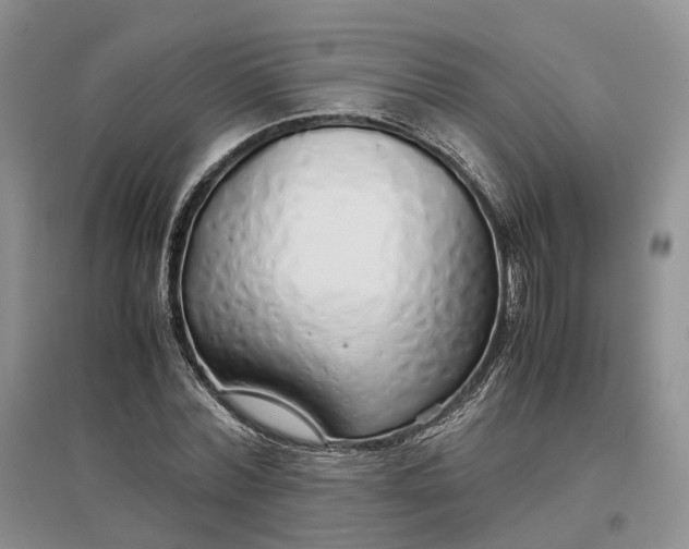 X0000097300780200802291812