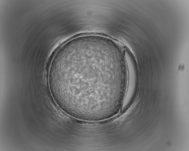 X0000097300781200802291812