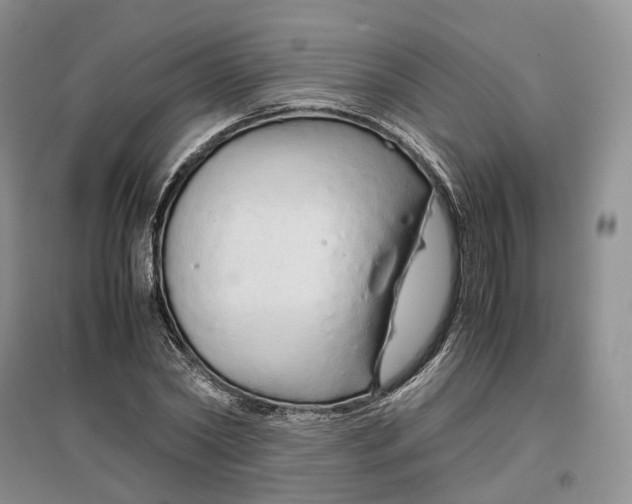 X0000097300782200802291812