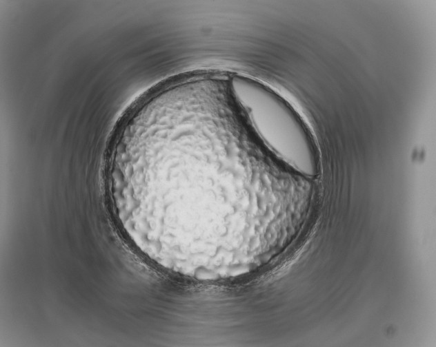 X0000097300783200802291812