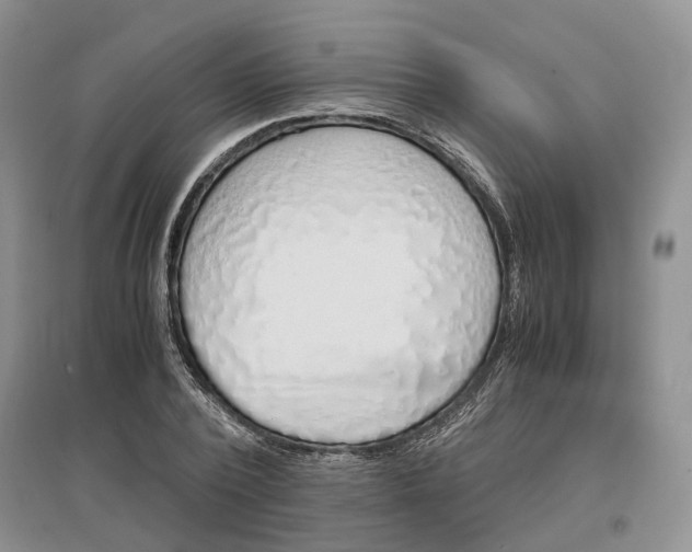 X0000097300784200802291812