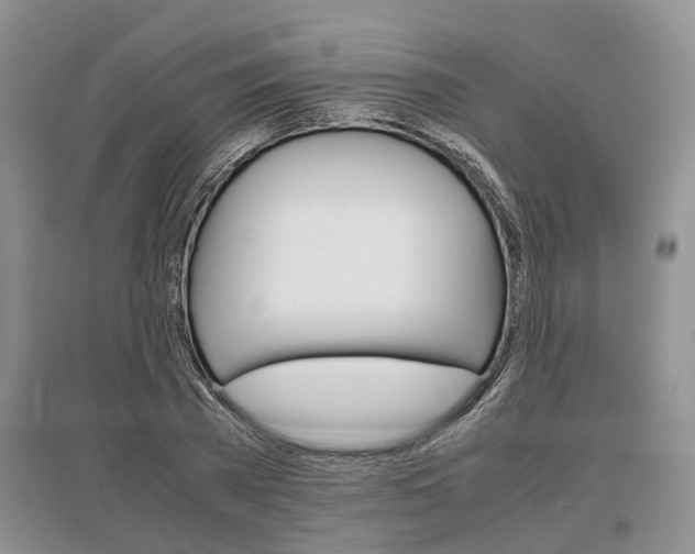 X0000097300785200802291812