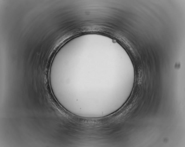 X0000097300786200802291812