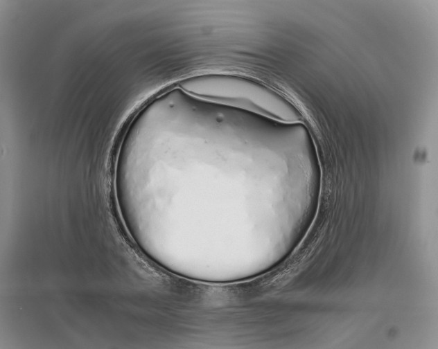 X0000097300787200802291812