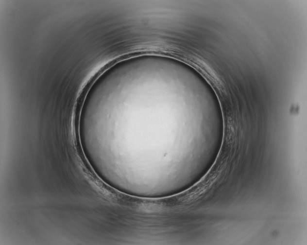 X0000097300788200802291812