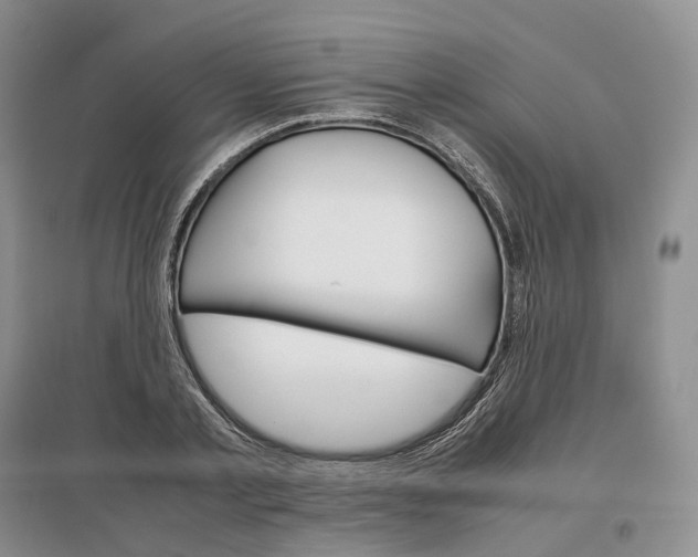 X0000097300789200802291812