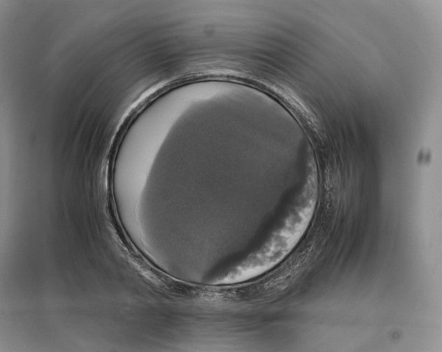 X0000097300790200802291812