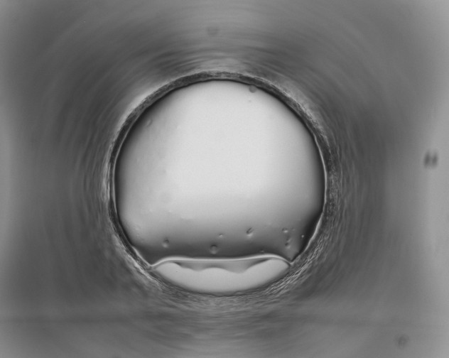 X0000097300791200802291812