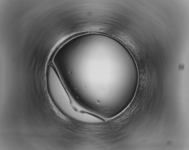 X0000097300792200802291812