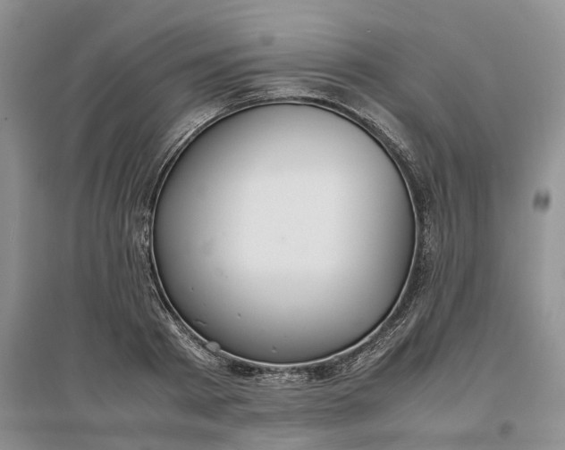 X0000097300793200802291812