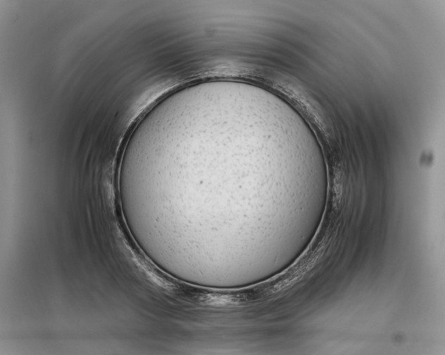 X0000097300794200802291812