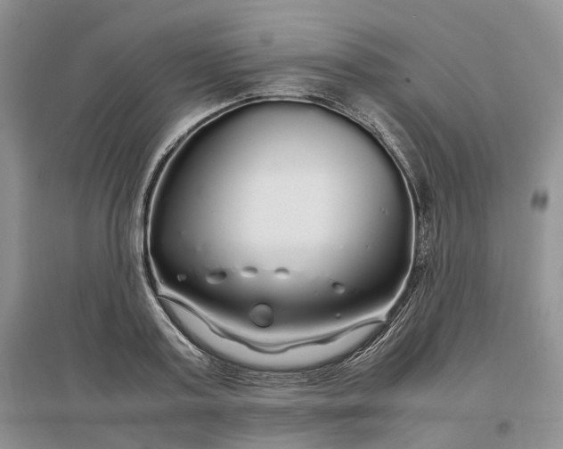 X0000097300795200802291812