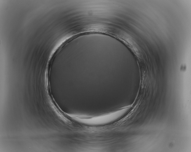 X0000097300796200802291812