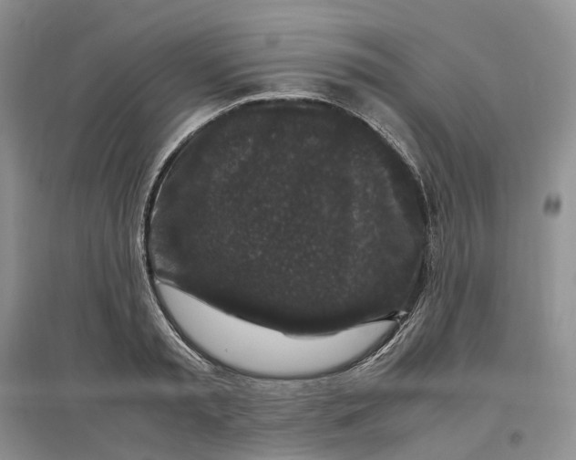 X0000097300797200802291812