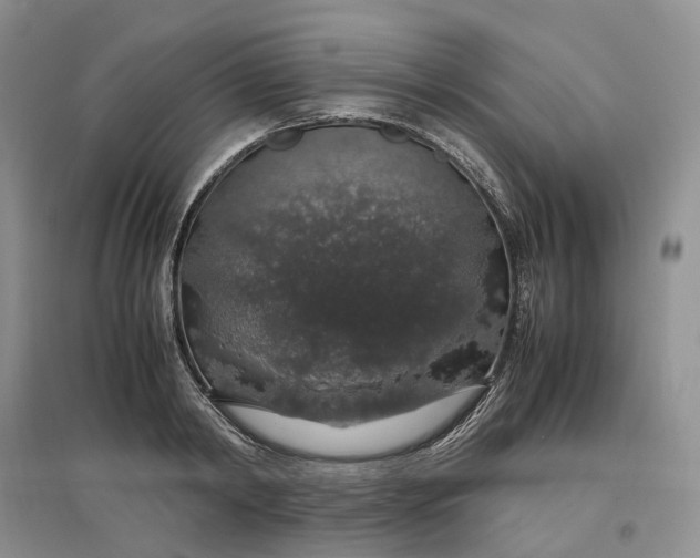 X0000097300798200802291812