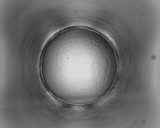 X0000097300799200802291812