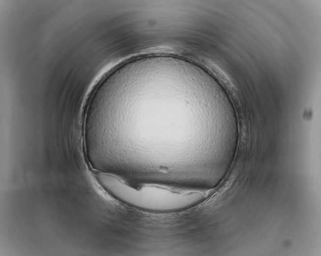 X0000097300800200802291812