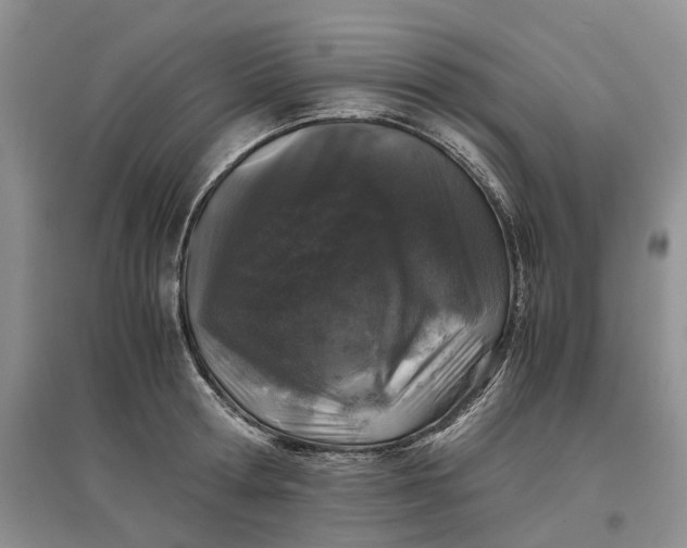 X0000097300802200802291812