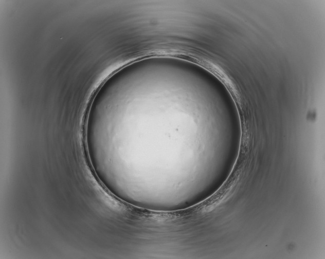 X0000097300803200802291812