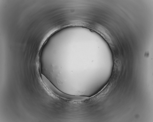 X0000097300804200802291812