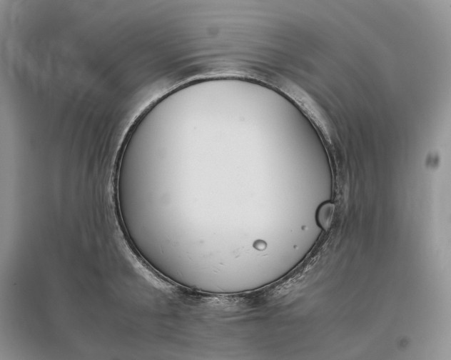 X0000097300805200802291812