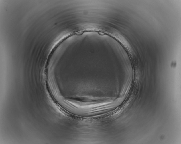 X0000097300806200802291812