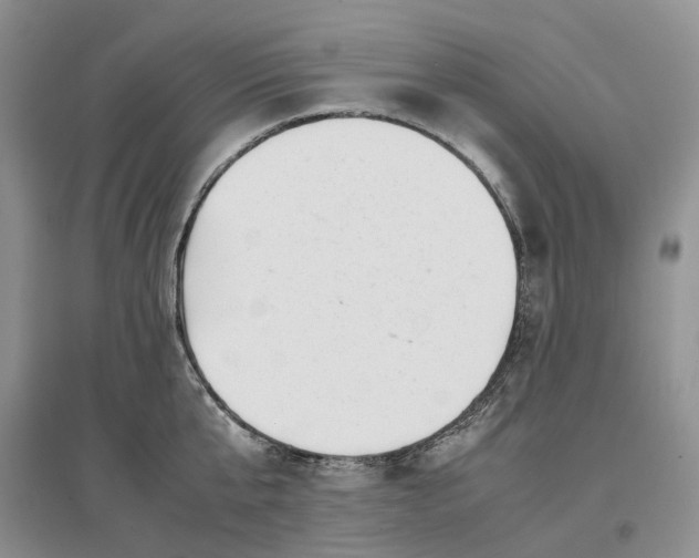 X0000097300807200802291812