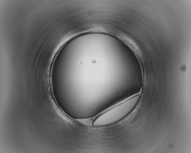 X0000097300808200802291812