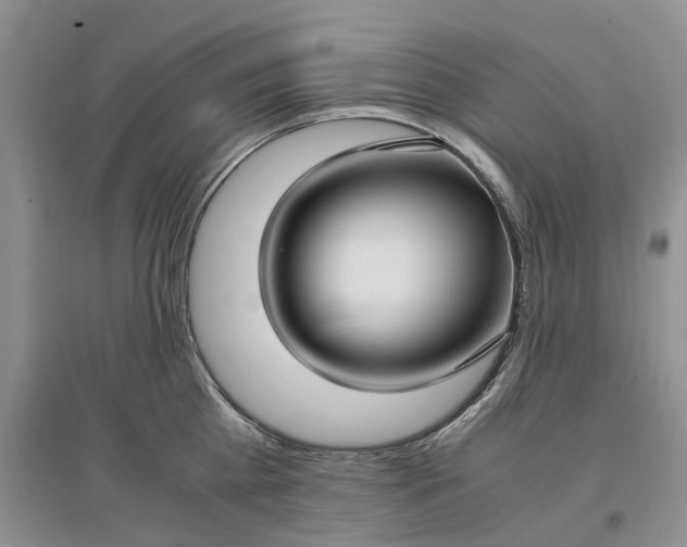 X0000097300809200802291812