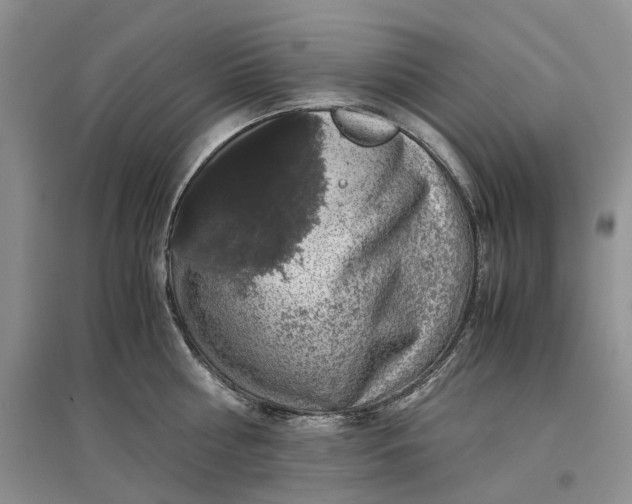 X0000097300810200802291812