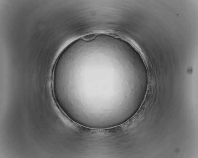 X0000097300811200802291812