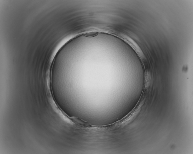 X0000097300812200802291812